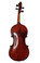 Nice Early 20th C. Maggini Copy Fiddle back