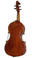 Violoncello da Spalla by Donald Rickert back 1b