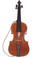 Violoncello da Spalla by Donald Rickert with strap front 2