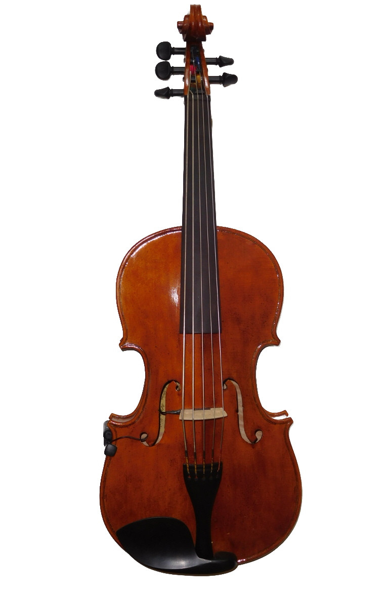 Tenor violin shop
