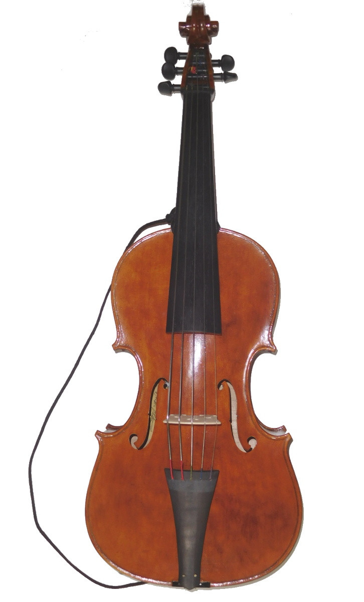 Violoncello price 2024