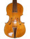 Violoncello da Spalla by Donald Rickert body front