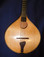 Sessioneer Bouzouki by Rickert and Hale, Luthiers  (body front)