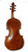 Violoncello da Spalla Basic Model by D. Rickert Musical Instruments 2