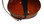 Violoncello da Spalla Basic Model by D. Rickert Musical Instruments 6