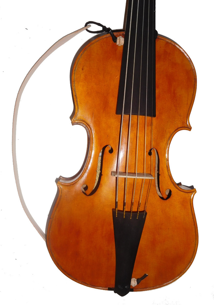 Violoncello da Spalla Basic Model by D. Rickert Musical