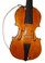 Violoncello da Spalla Basic Model by D. Rickert Musical Instruments 7
