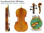 Ernst Heinrich Roth I 1921-1933 Violin Replica by D. Rickert Musical Instruments