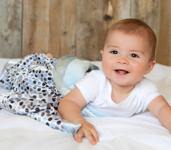 Baby/Toddler Plush Silkie Blanket