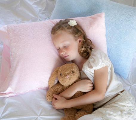 Teddy discount pillow cover