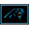 Carolina Panthers 3' x 4' Spirit Rug