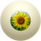 Sunflower Cue Ball