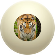 Eye of the Tiger Cue Ball