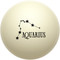 Astrological Constellation: Aquarius Cue Ball