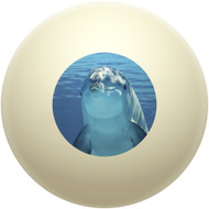 Happy Dolphin Cue Ball