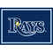 Tampa Bay Rays 3' x 4' Spirit Rug