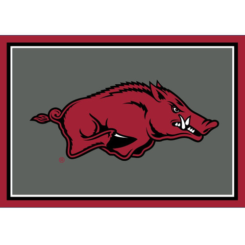 Arkansas Razorbacks 3' x 4' Spirit Rug
