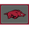 Arkansas Razorbacks 3' x 4' Spirit Rug