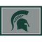 Michigan State Spartans 3' x 4' Spirit Rug