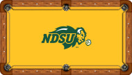 North Dakota State Bison Billiard Table Felt - Recreational 2 