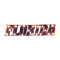 Florida Gators "Florida" Lighted Recycled Metal Sign