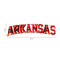 Arkansas Razorbacks "Arkansas" Lighted Recycled Metal Sign