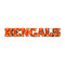 Cincinnati Bengals Lighted Recycled Metal Sign