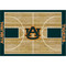 Auburn Tigers 6' x 8' Courtside Rug