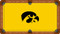 Iowa Hawkeyes Billiard Table Felt "Hawkeye on Gold"