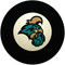 Coastal Carolina Chanticleers 8 Ball