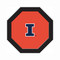 Illinois Fighting Illini 48" Standard Game Table Felt
