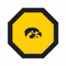 Iowa Hawkeyes 48" Standard Game Table Felt