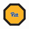 Pitt Panthers 48" Standard Game Table Felt