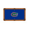 Florida Gators 7'/8' Recreational Billiard Table Felt - Mascot