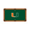 Miami Hurricanes 7'/8' Recreational Billiard Table Felt - U Logo on Green