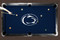 Penn State Nittany Lions 9' Recreational Billiard Table Felt - Mascot