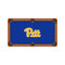 Pittsburgh Panthers 9' Recreational Billiard Table Felt - Script Logo