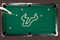 South Florida Bulls 9' Recreational Billiard Table Felt