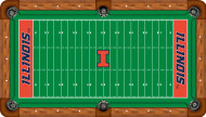 Illinois Fighting Illini Billiard Table Felt - Recreational