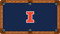 Illinois Fighting Illini Billiard Table Felt - Recreational 1