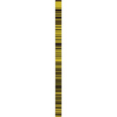 Leica GWCL60 Invar Barcode Scale (563773)