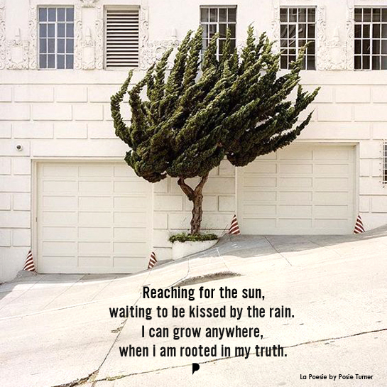 posie-turner-tree-rooted-in-my-truth-poem-545x545.jpg