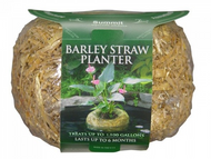 Barley Straw Planter Med 8oz