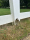 Don't let this happen to you. Buy CAP Fence Post Protectors and protect you vinyl Fence Posts from weed-whacker damage. 