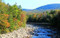 New England Foliage