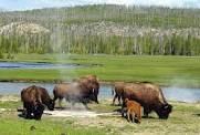 Custer State Park