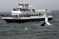 06/07/26-06/11/26 Cape Cod Delight Sunday-Thursday June 7-11,2026