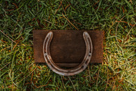 Horse Shoe Bottle Openers
