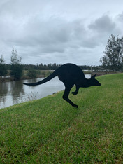 Kangaroo Silhouette