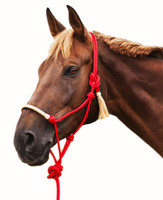 NOTE: This product image was supplier-provided and is a good example of how NOT to tie the halter (please note proper knot tying and halter fitting in the third & fourth pictures here). This halter should also ideally be tied more snugly beneath the horse's jaw.